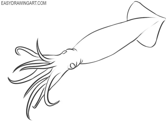 Easy line drawing drawing of a squid