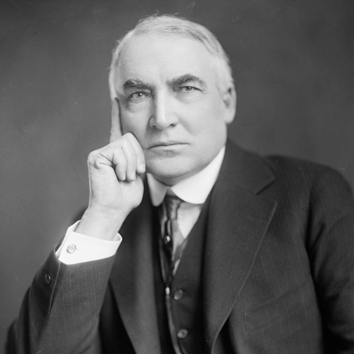 Warren g harding easy drawing full body