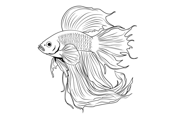 Cute baby beta fish animals coloring pages