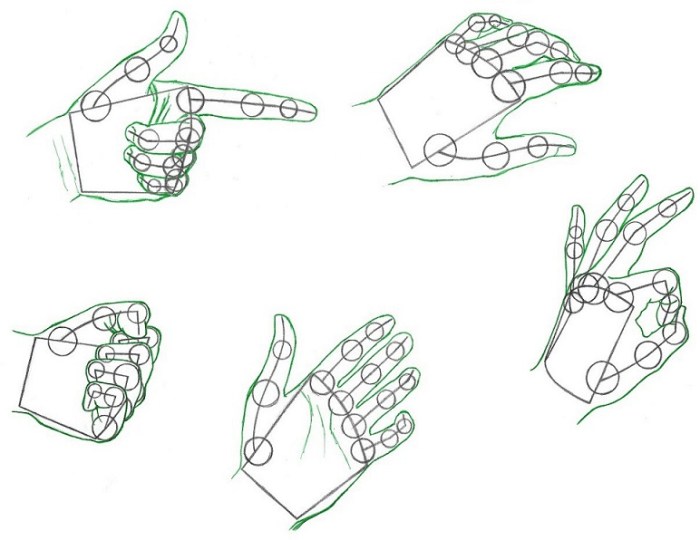 Wrist crops easy drawing