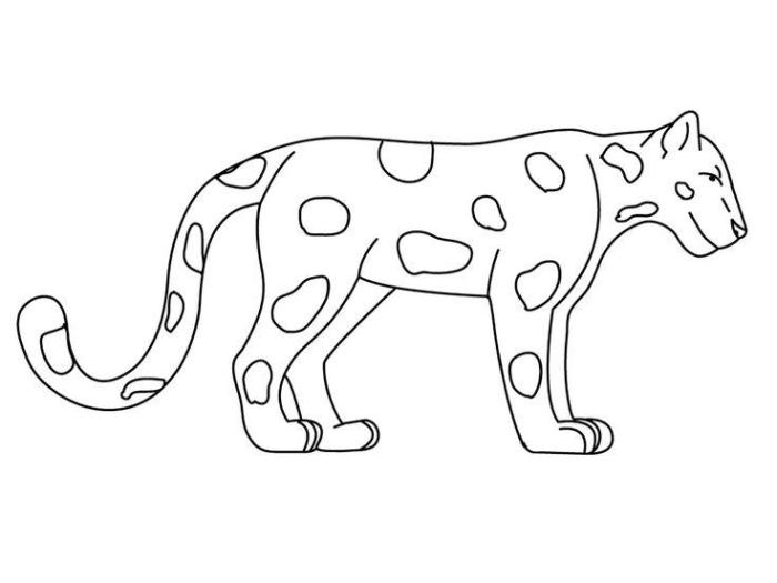 Jaguar drawing really easy