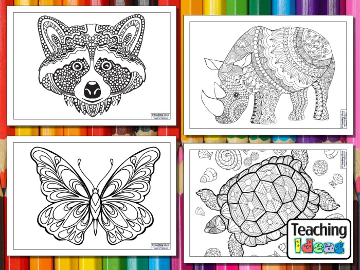 Animal calming coloring pages