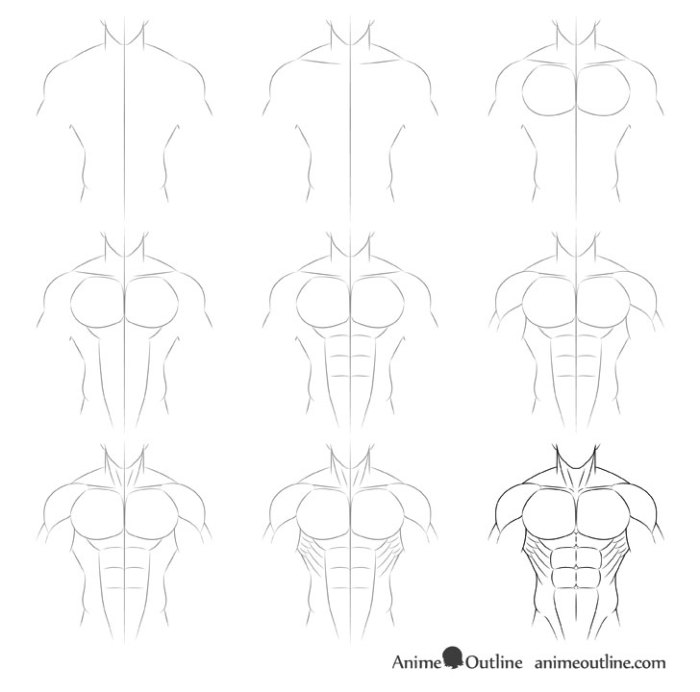 With muscle drawing easy