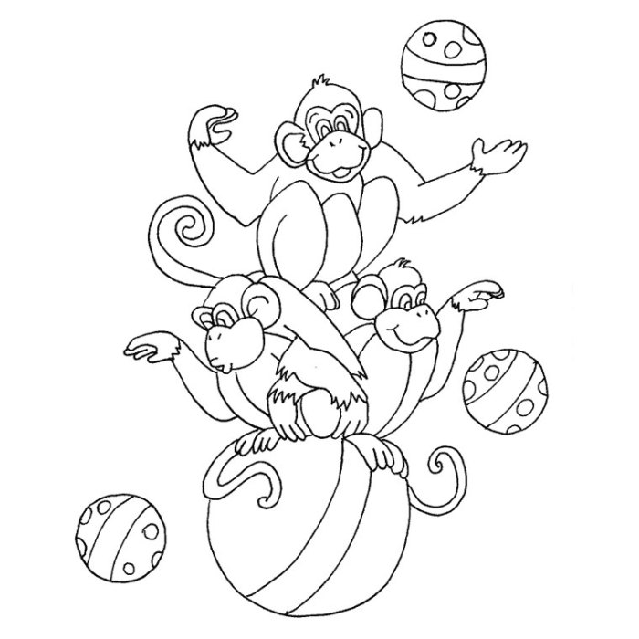 Circus animal coloring pages for toddlers