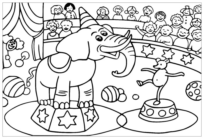 Animal circulatory system coloring pages