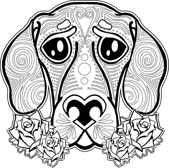 Detailed animal coloring books