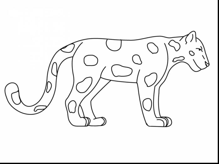 Jaguar drawing really easy