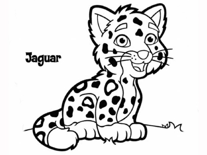 Animal alphabet jaguar coloring pages printable