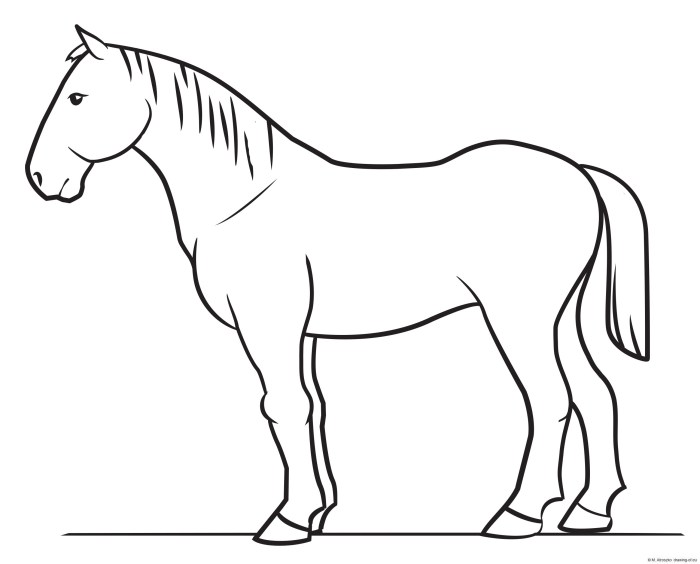 Easy trace drawing of a horse